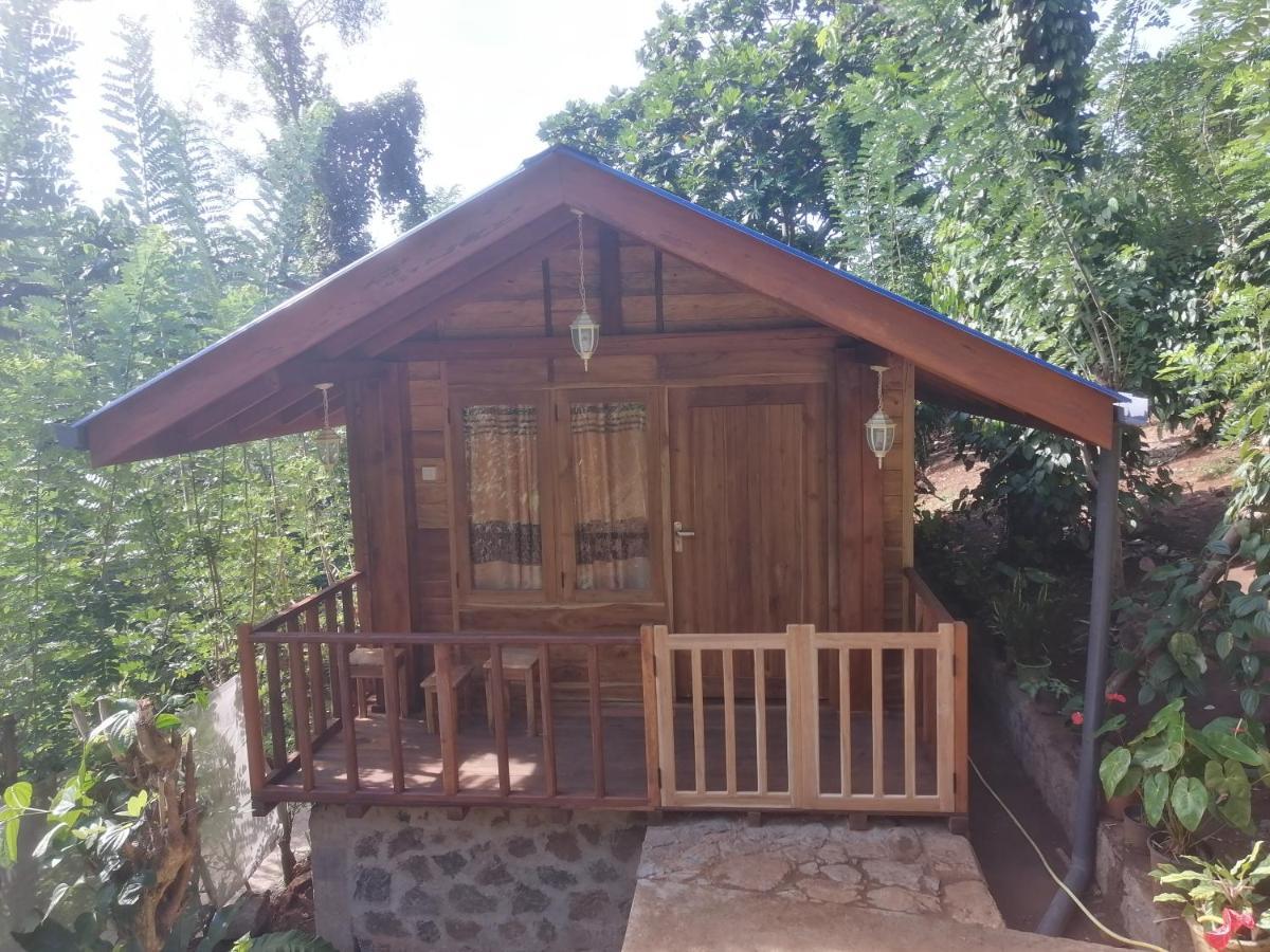 Diyaluma View Cotage Hotel Koslanda Luaran gambar