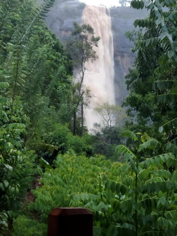 Diyaluma View Cotage Hotel Koslanda Luaran gambar