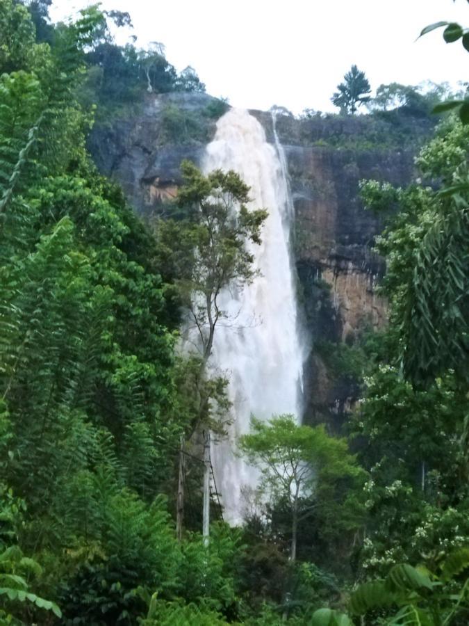 Diyaluma View Cotage Hotel Koslanda Luaran gambar