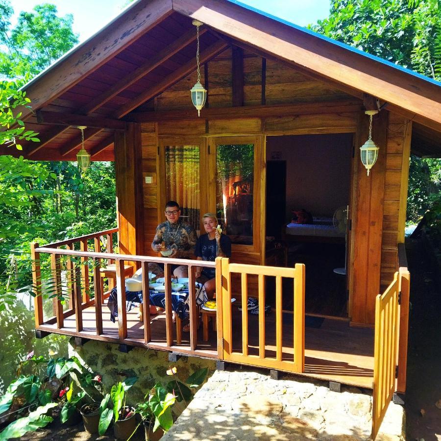 Diyaluma View Cotage Hotel Koslanda Luaran gambar