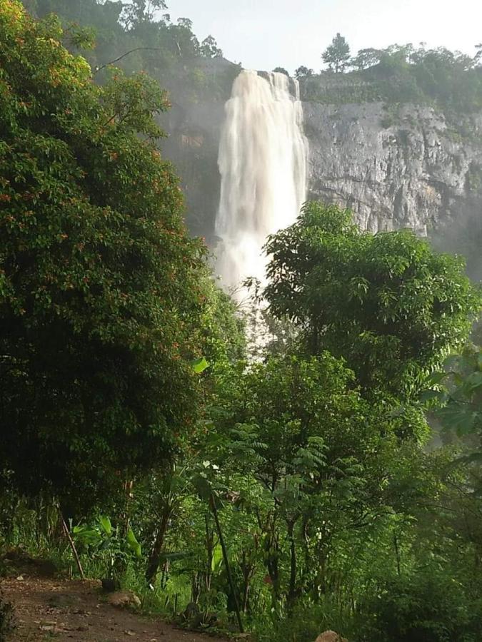 Diyaluma View Cotage Hotel Koslanda Bilik gambar